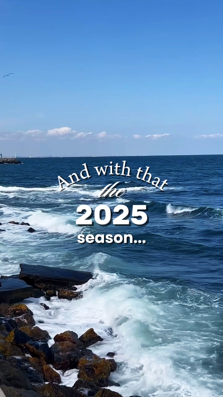 Resumen 2025