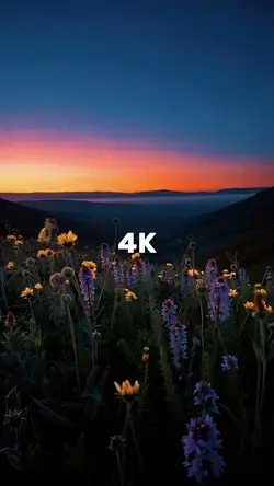 144P VS 4K