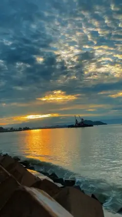 lagu Ambon viral
