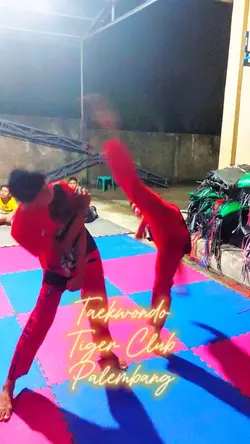 taekwondo 