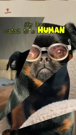 My pet Think Human