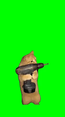 cat with a drill
