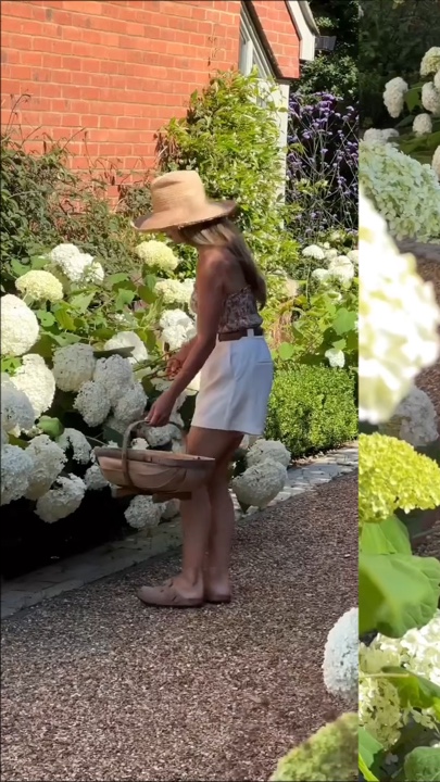 Berkebun