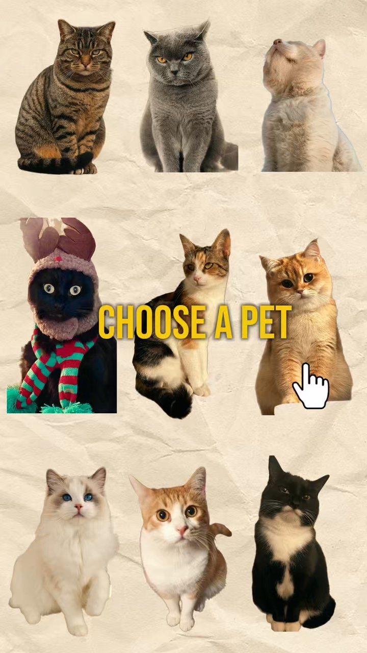 Choose a pet