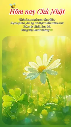Chủ Nhật Cuối Tuần 