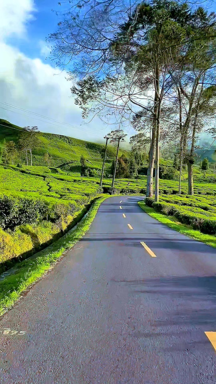 road trip filter hd