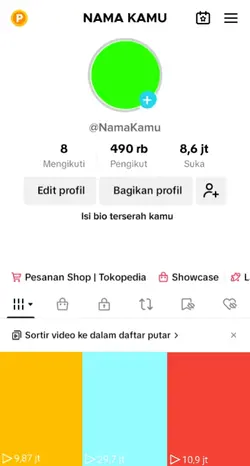 Akun tiktok fake 