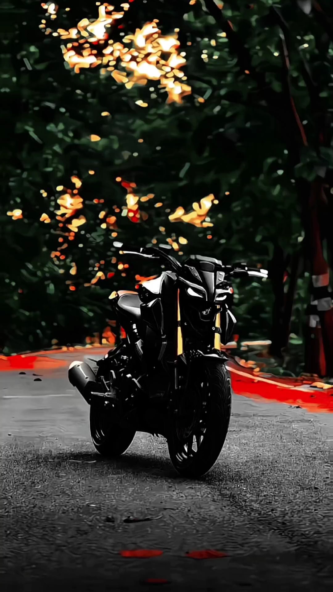 Bike edit