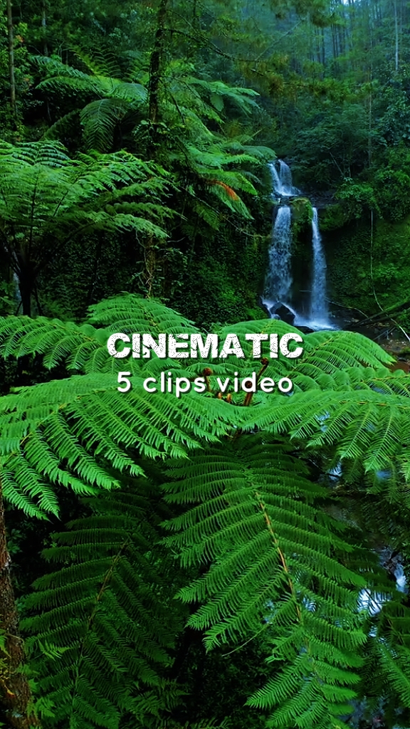 CINEMATIC 5 clips