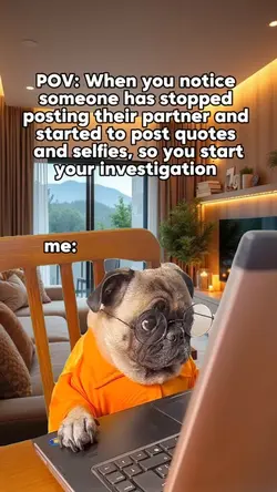 Investigation