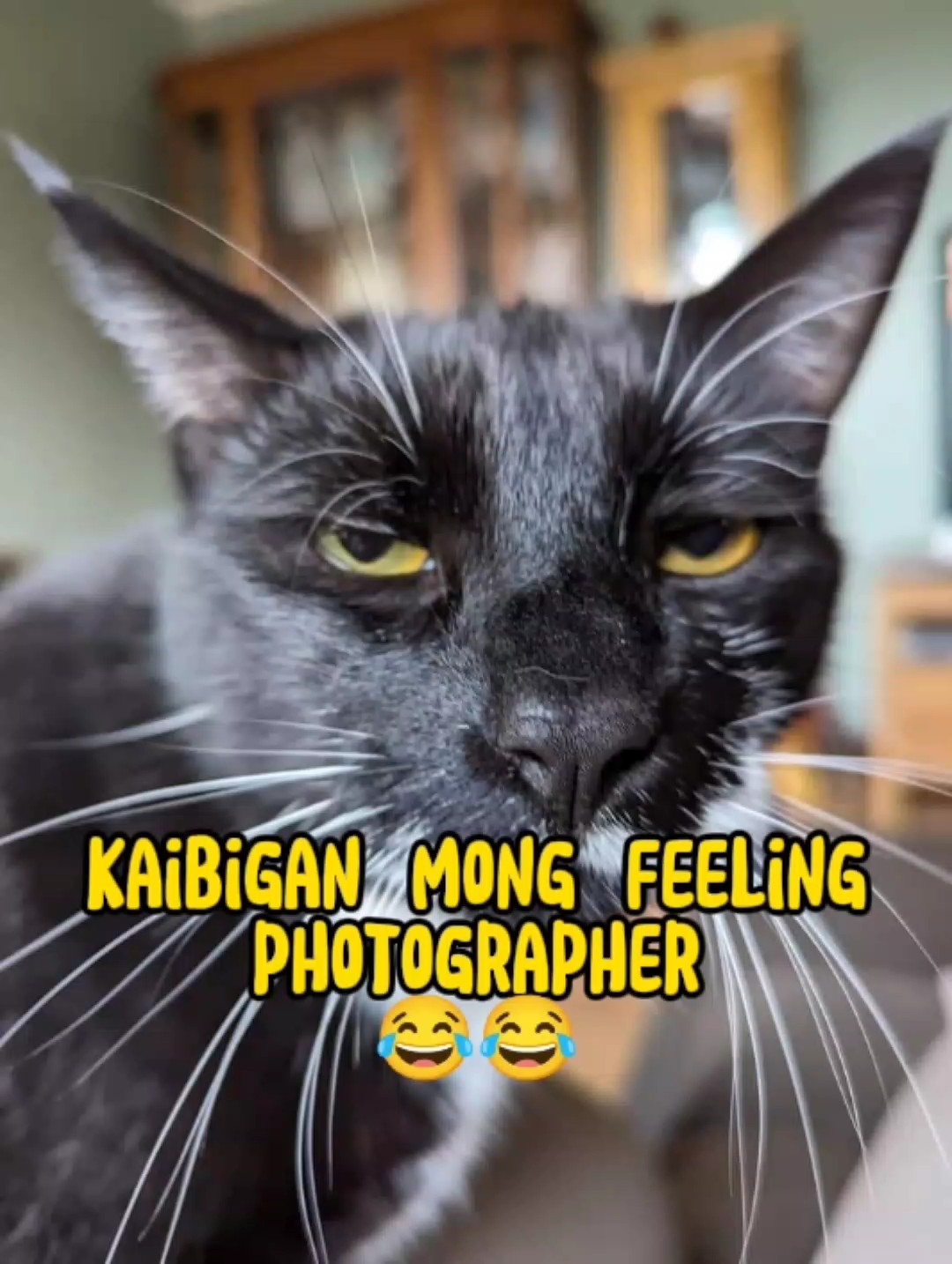 FOTOGRAF HAHA