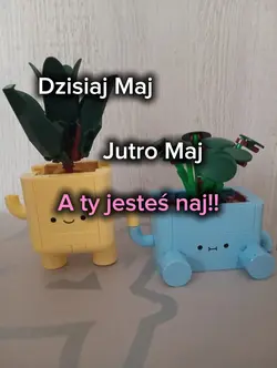 Maj