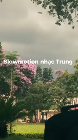 1 videos trend hất..