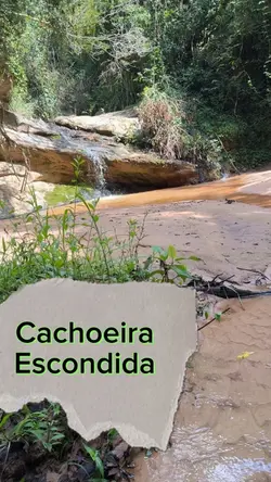 Trilhas e Caminhadas