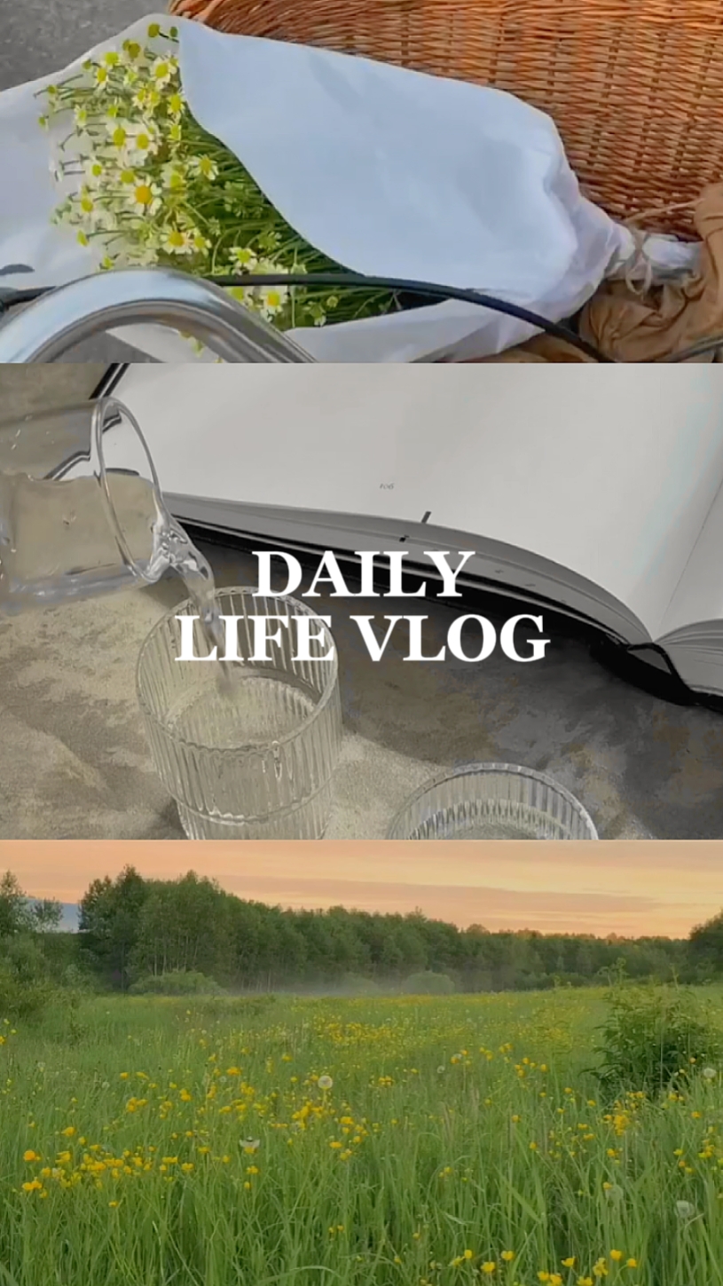 Vlog de la vida diaria