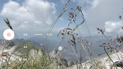 Cinematic Simple