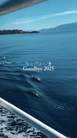 goodbye 2025
