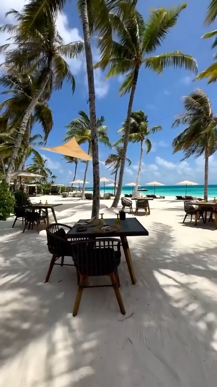 Mini Vlog Video Template By Capcut