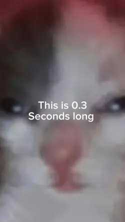 0.3 seconds long