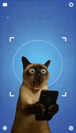 SURPRISE CAT