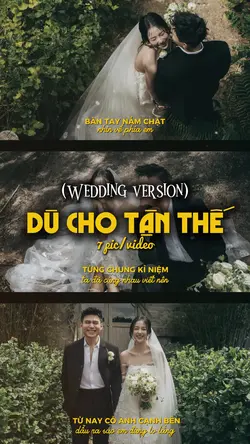 DCTT wedding vesion 