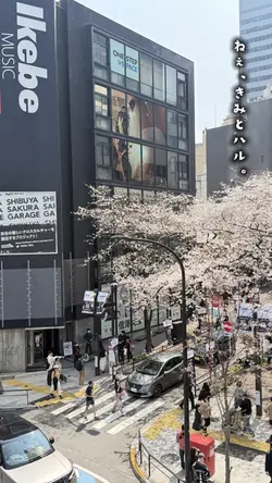 ねぇ、きみとハル。