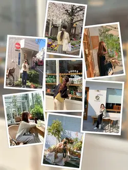 Photos Collage Trend