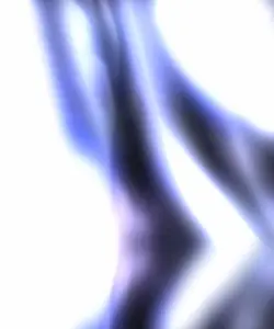 #今年のハイライト