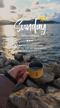 Hello Sunday 🌞