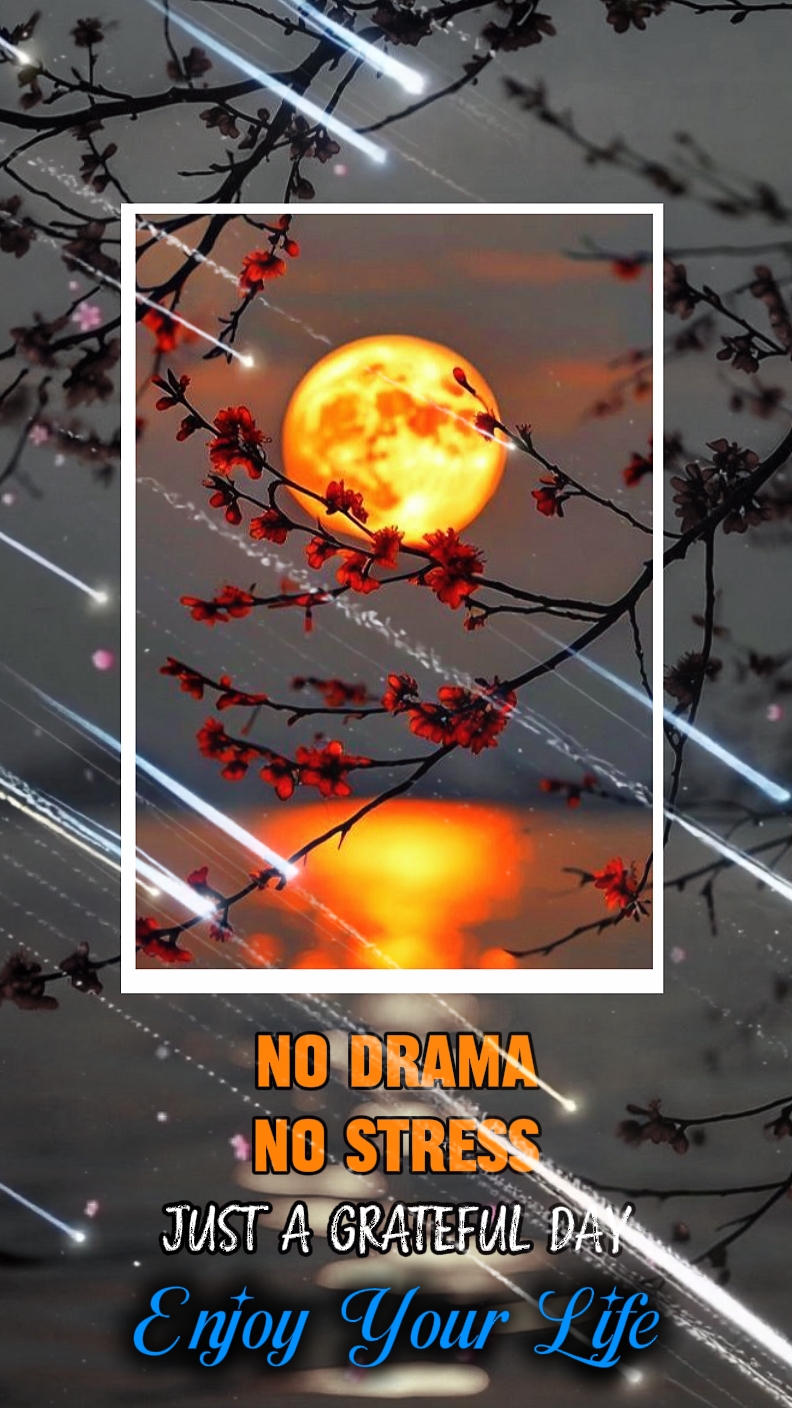 NO DRAMA NO STRESS