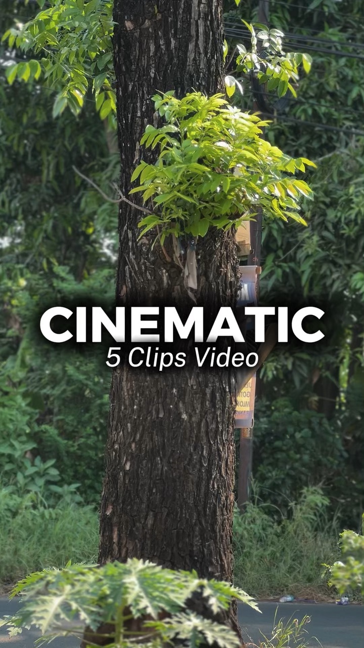 5 Mga Clip na Video
