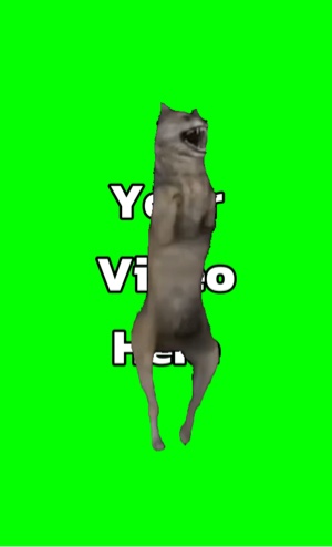 Dancing Cursed Wolf