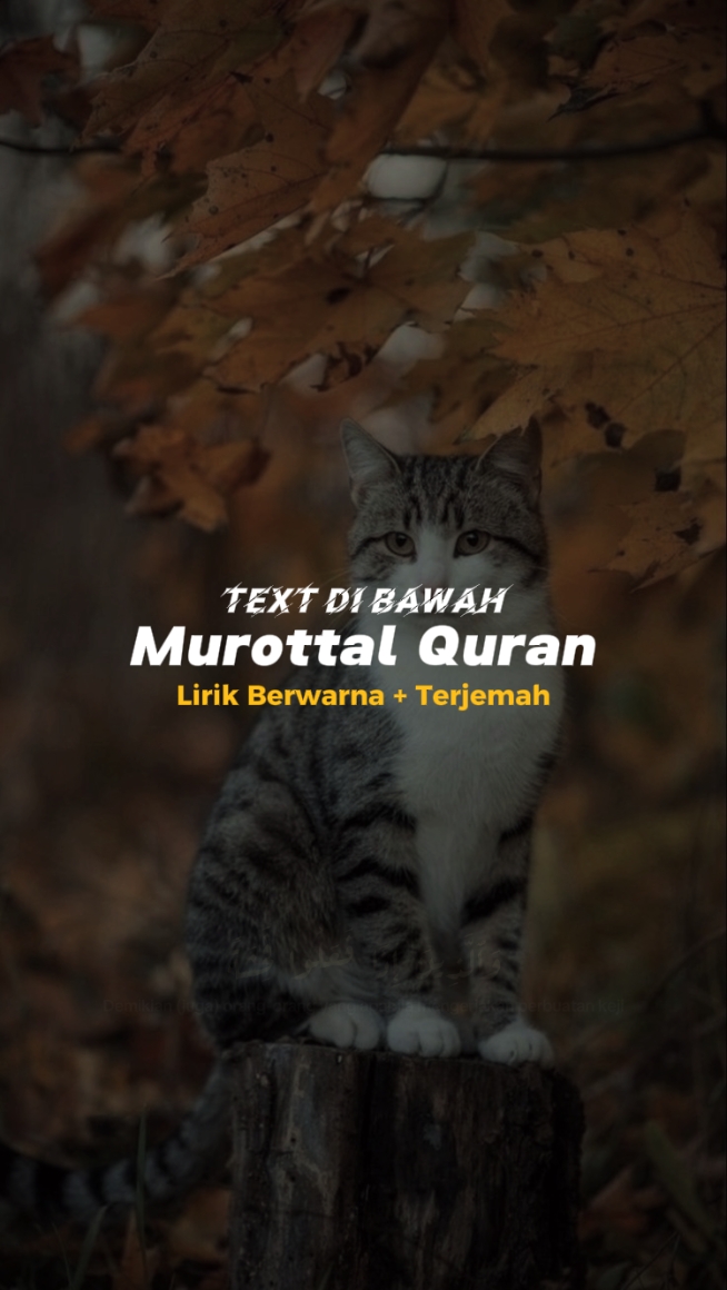 Murottal Al-Quran