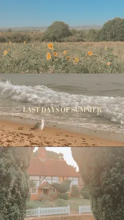 end of summer 🧡