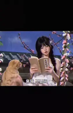 臭猫不要闹 我看书呢 卡点