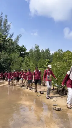 Ninja hatori mendaki