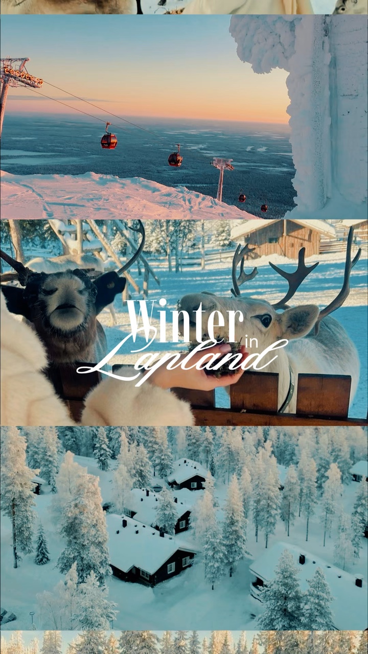 Kış Seyahati ❄️❄️☕️🦌