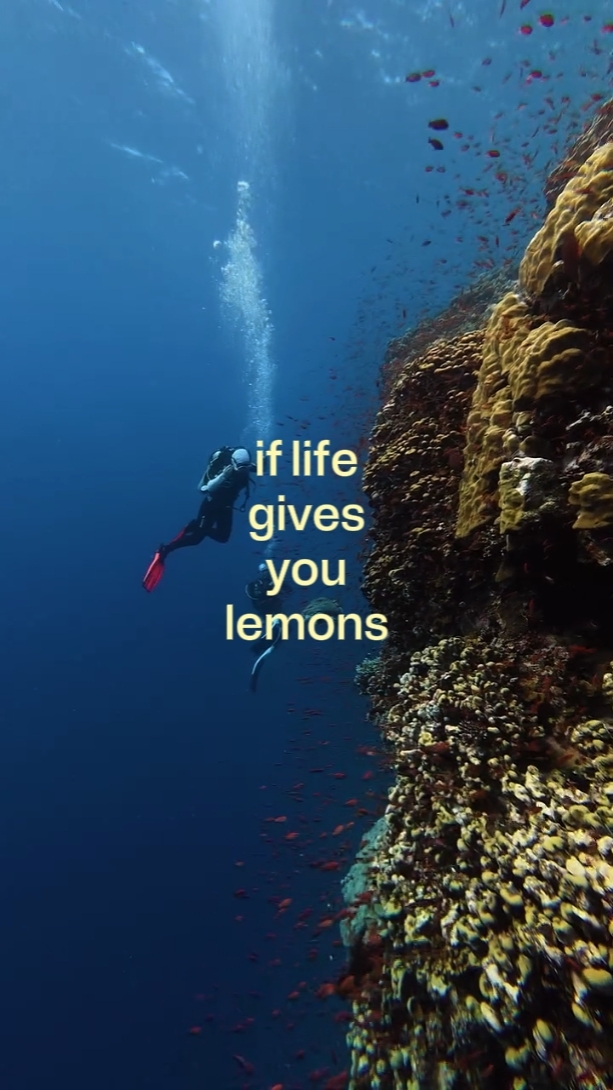 if life gives you