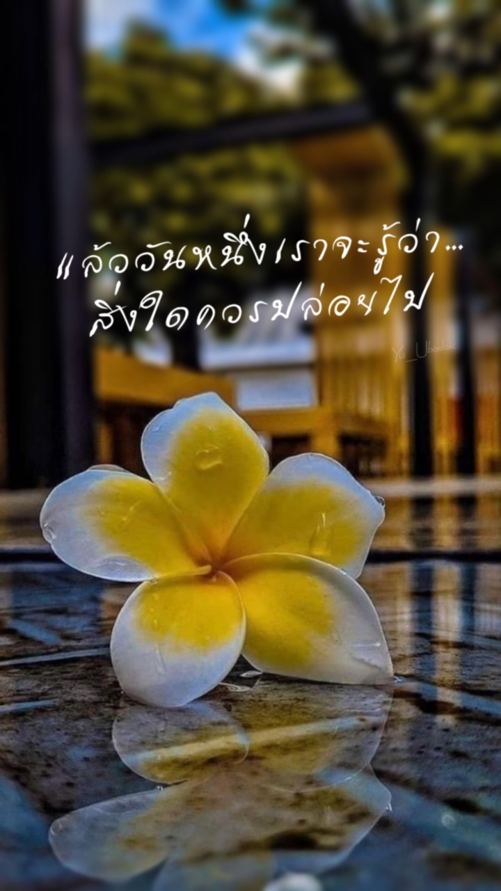 แล้ววันหนึ่งเราจะรู้