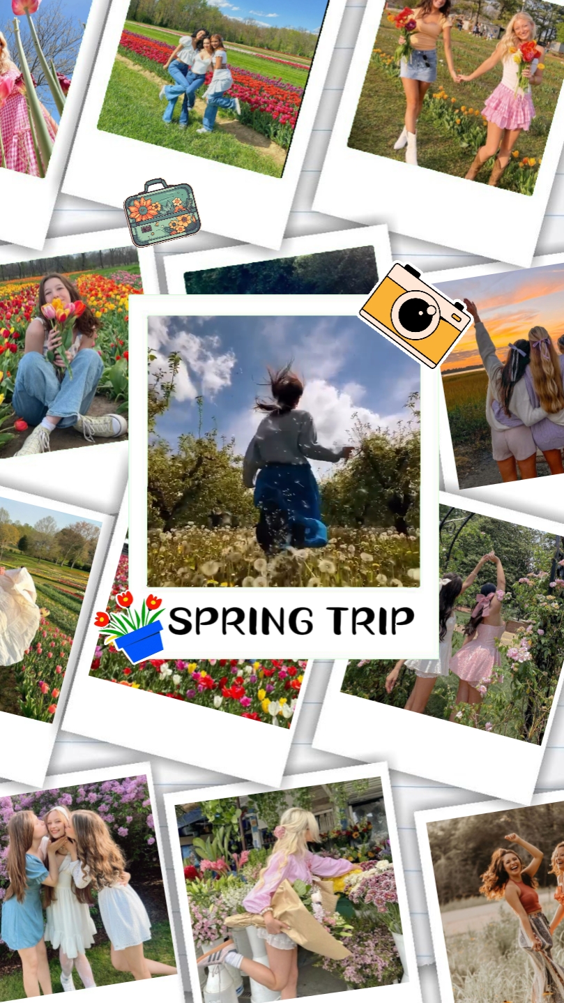Spring Trip