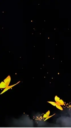 Lily’s CapCut