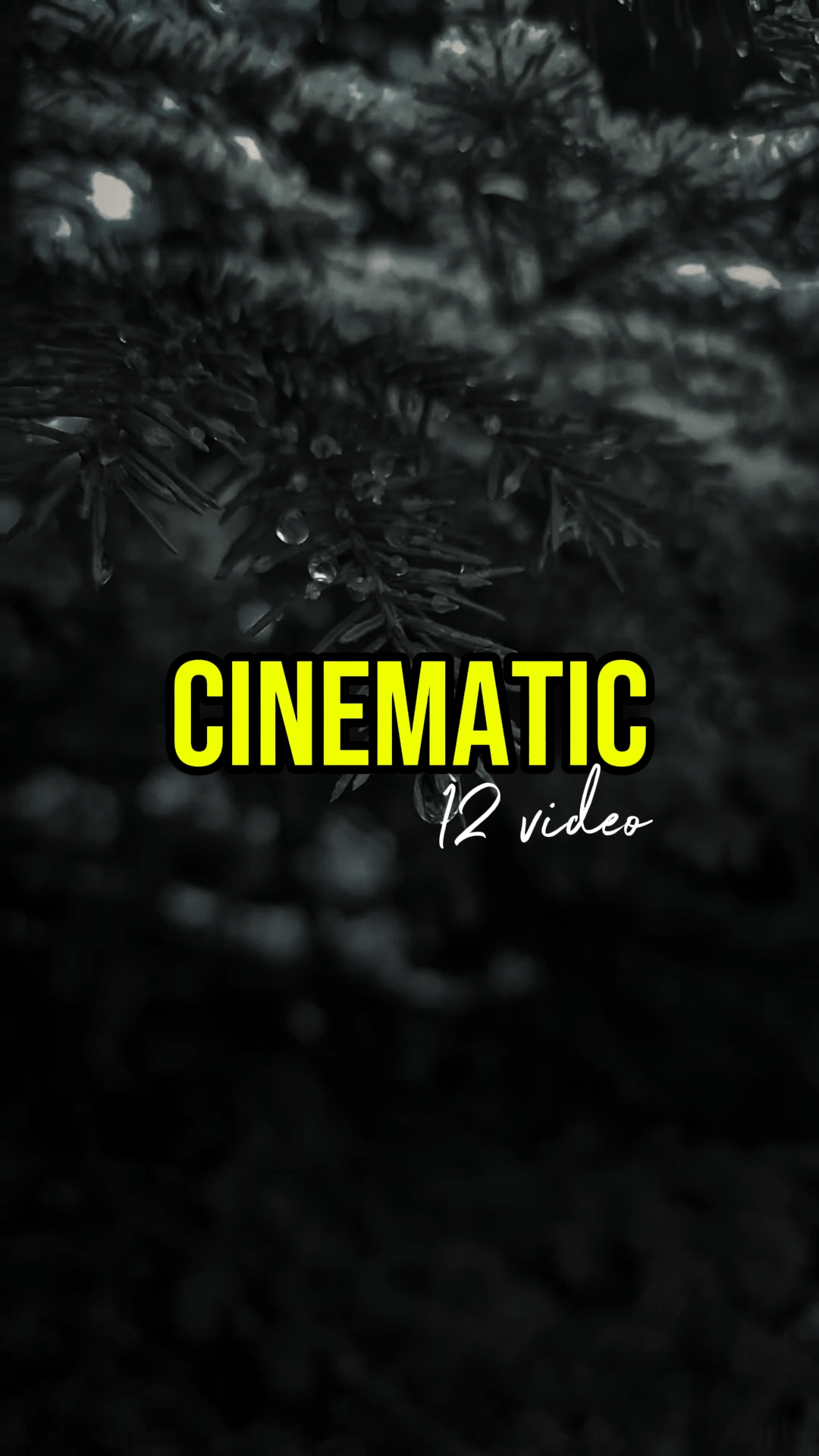 CINEMATIC