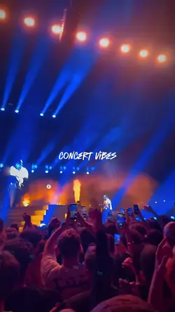 concert vibes