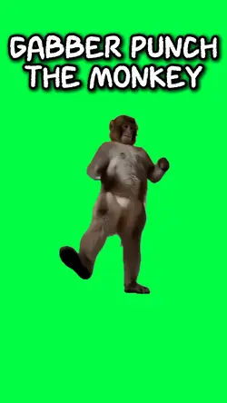 GABBER PUNCH MONKEY