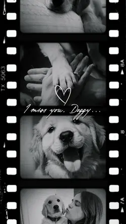 I miss you, doggy