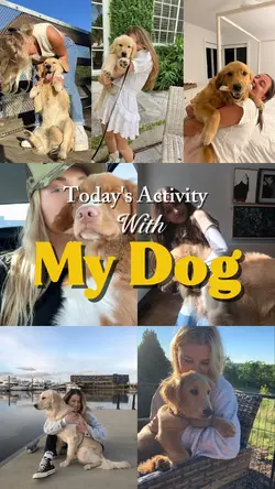 Today Activity,MyDog