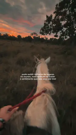 Amor por cavalos 🤎