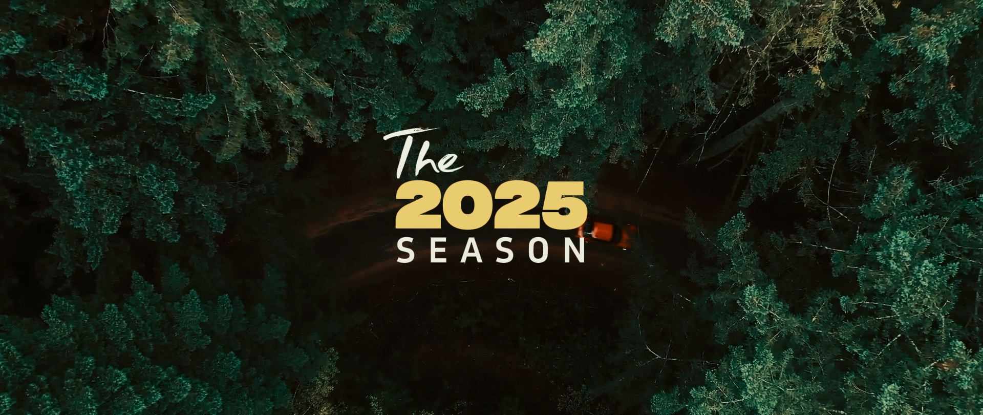 2025 chega ao fim