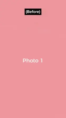 Zx_edits365