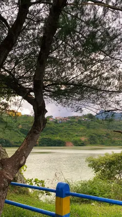 1video